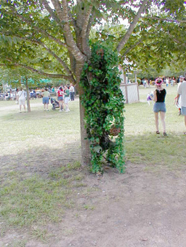 tree_man